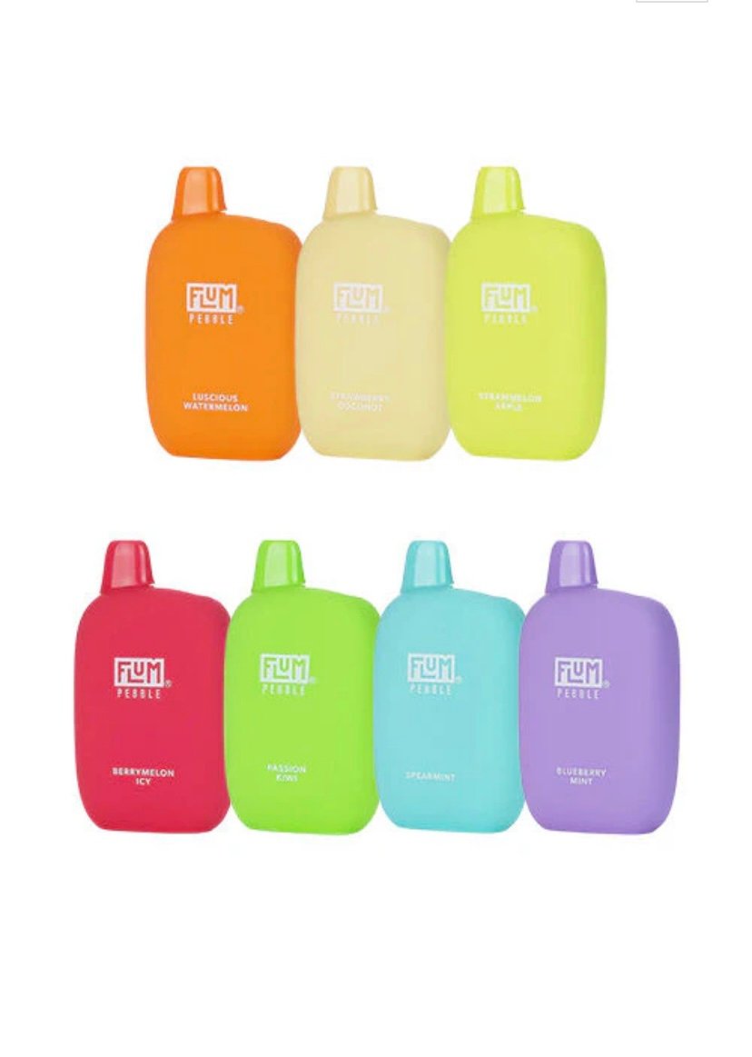 Vape Hub Flum Pebble 6000 puffs Variety Pack (10 pcs)